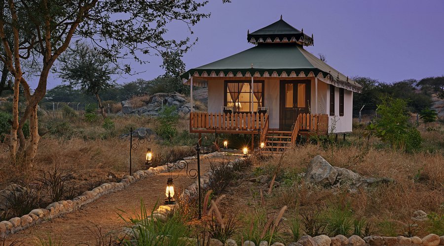 Luxury camp at dusk in Jawai wilderness - where hospitality meets nature